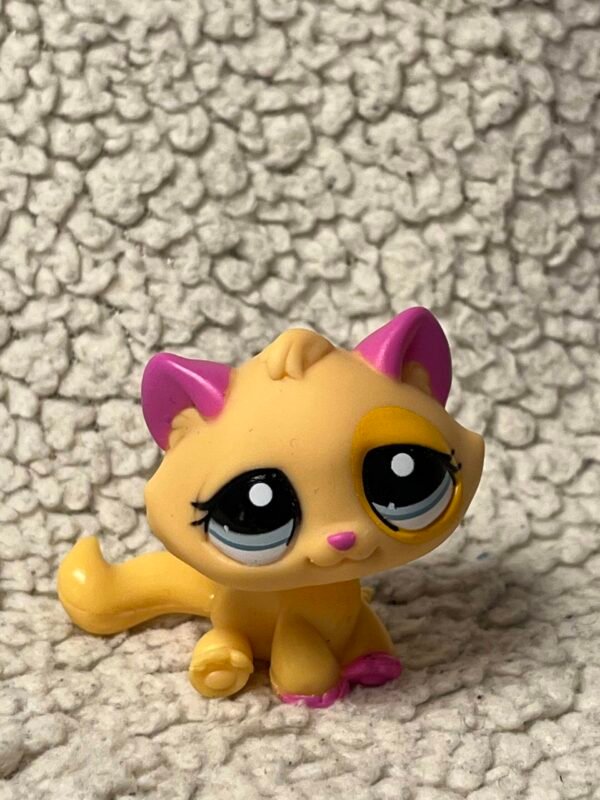 LPS #2406 - Cat
