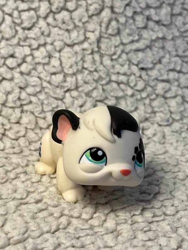 LPS #1394 - Guinea Pig